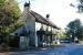 The Orange Tree