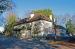 The Orange Tree picture
