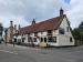 Picture of White Horse