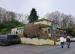 The Linden Tree picture