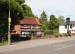 Picture of The Golden Lion