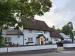 Picture of The Orange Tree