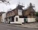 Picture of The Golden Lion