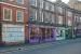 Picture of The Purple Turtle
