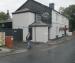 Picture of Bay Horse