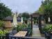 Picture of The Lion of Beaconsfield