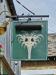 Picture of The Ostrich