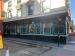 Picture of Bulls Head