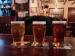 Picture of The Plasterers Arms