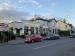 Picture of Wych Elm