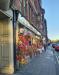 Picture of The Hotspur