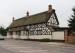 Picture of The White Lion