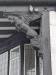 Picture of The Black Horse (JD Wetherspoon)