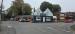 Picture of The Old Bush