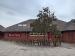 Picture of The Elm Tree