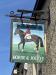 Picture of Horse & Jockey