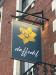 Picture of Daffodil
