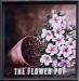 Picture of The Flower Pot