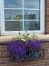 Picture of The Blue Boar Inn