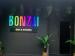 Picture of Bonzai