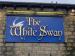 Picture of White Swan