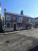 Picture of Ye Old Elm Tree