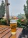 Picture of The Mechanical Elephant (JD Wetherspoon)