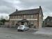 The Natterjack picture