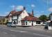 Picture of The Golden Lion