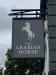 Picture of Arabian Horse