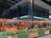 Picture of The Grocer