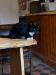Picture of The Cuckoo Inn