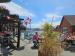 Picture of Garden Bar