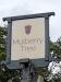 Picture of Mulberry Tree