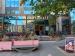 Picture of Cosy Club
