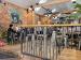 Picture of Missing Link Brewing Tap Room