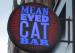 Picture of The Mean Eyed Cat